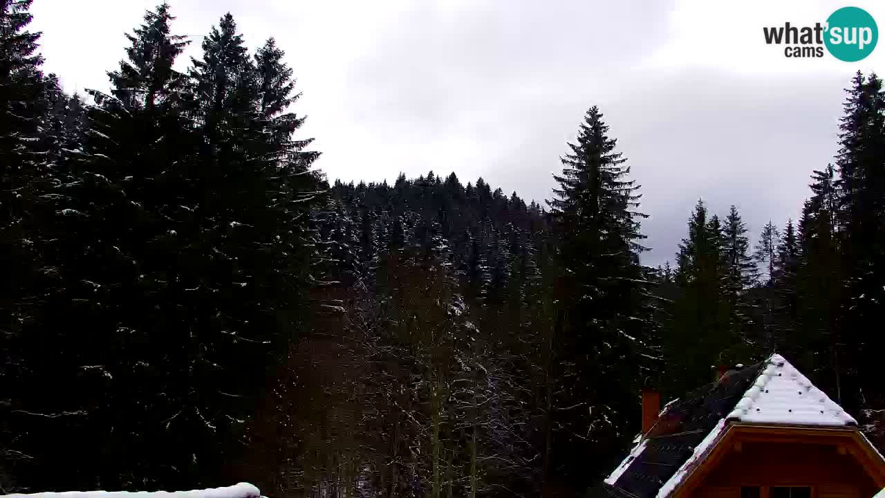 Webcam Lukanja – Water Village | Pohorje Houses