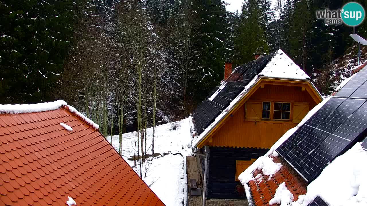 Webcam Lukanja – Pohorje houses a Water village