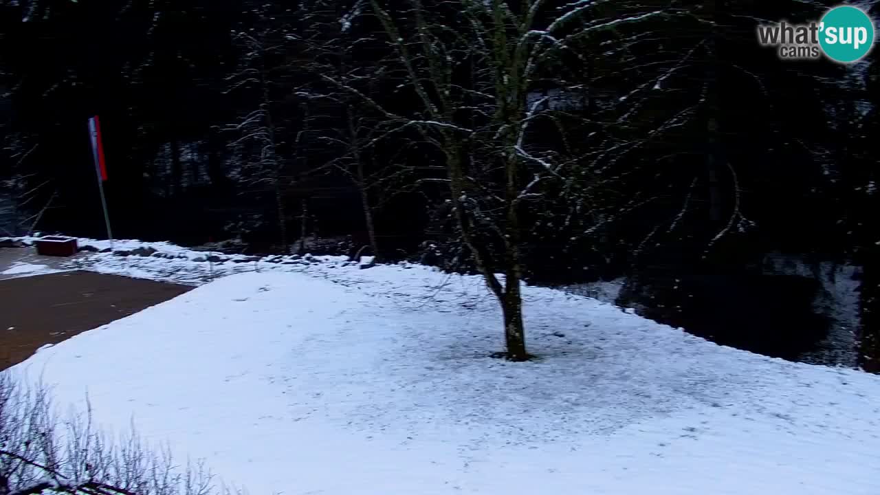 Spletna kamera Lukanja – Water Village | Pohorje Houses
