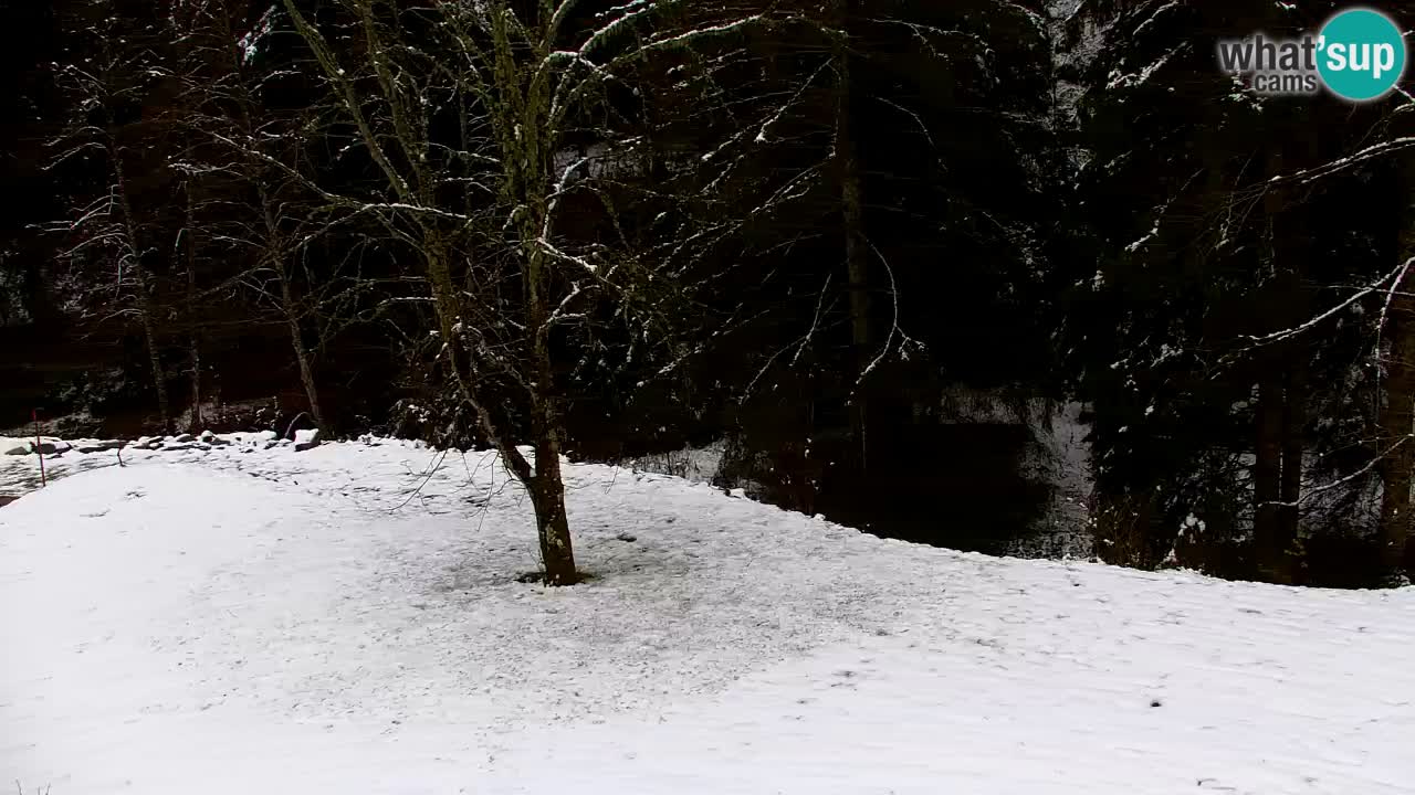 Webcam Lukanja – Water Village | Pohorje Houses