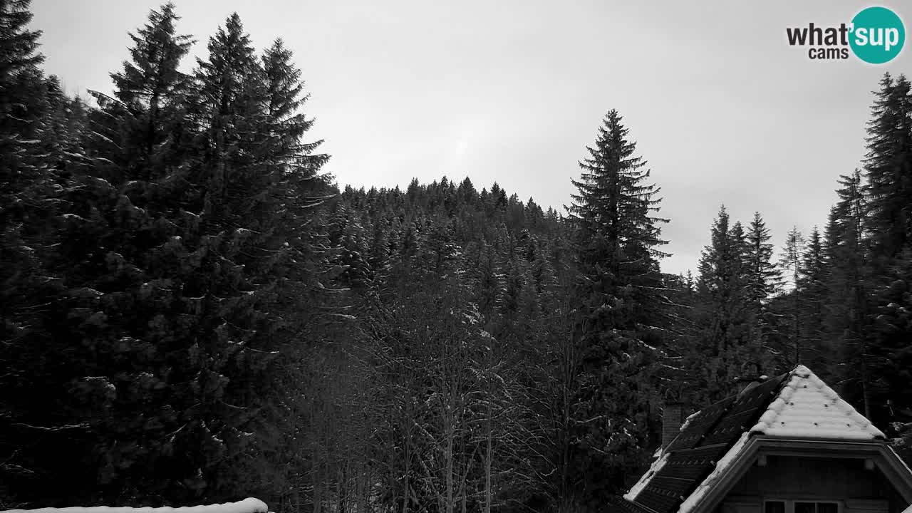 Webcam Lukanja – Water Village | Pohorje Houses