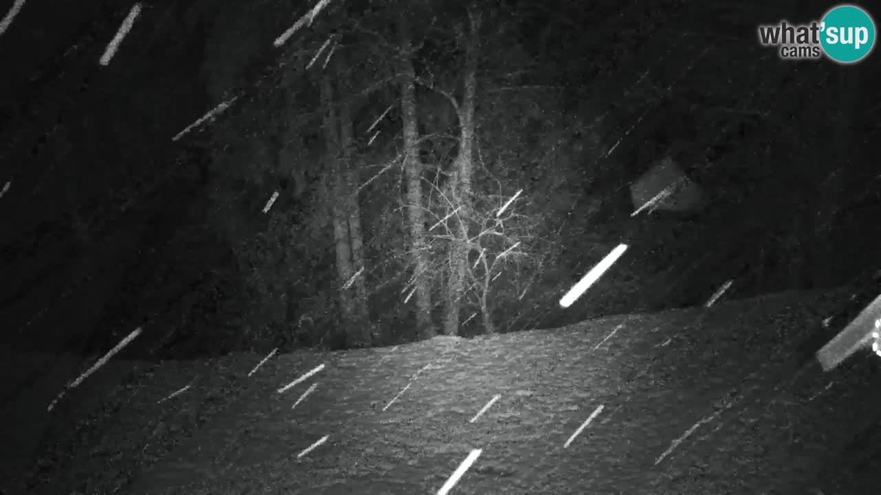 Webcam Lukanja – Water Village | Pohorje Houses