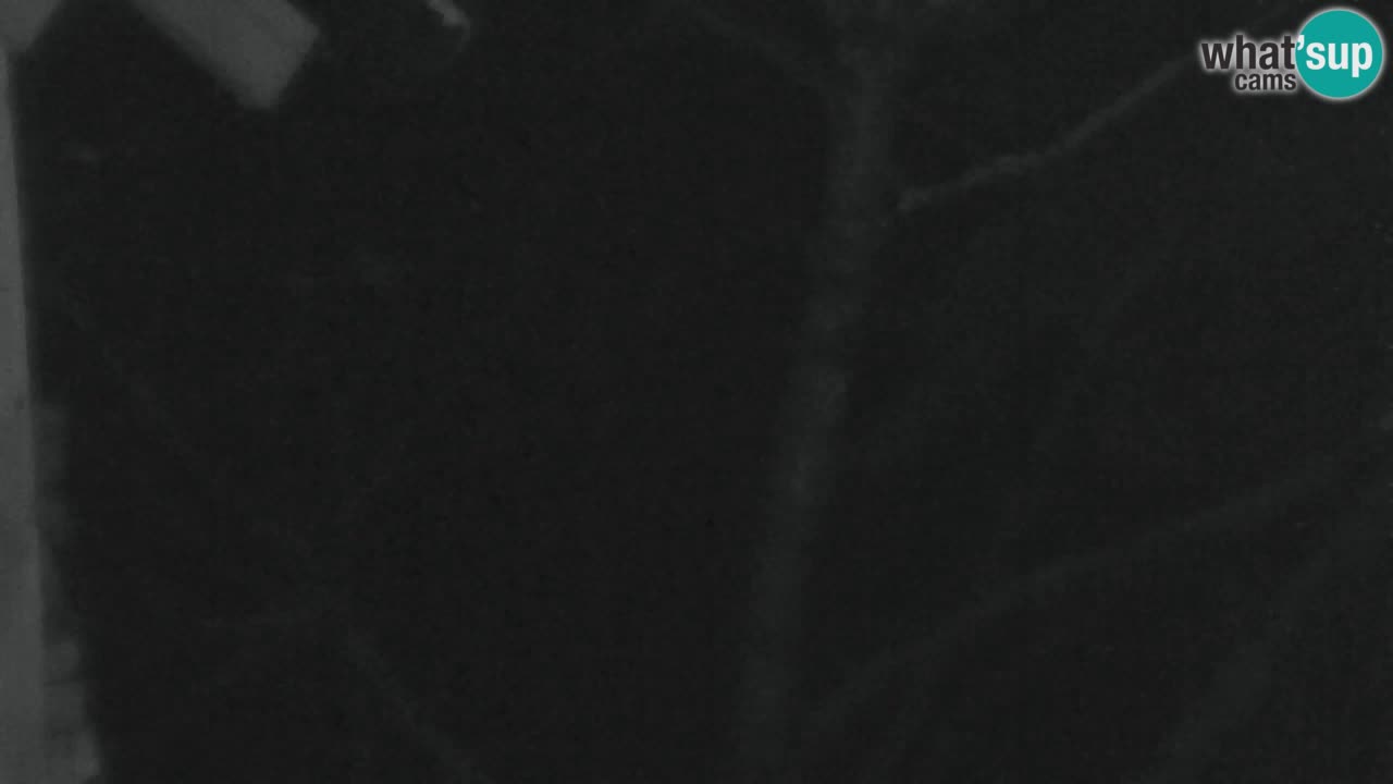 Webcam Lukanja – Water Village | Pohorje Houses