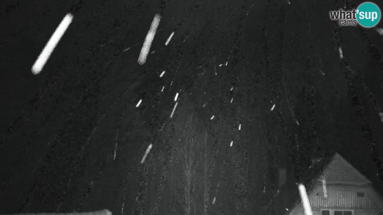 Webcam Lukanja – Pohorje houses a Water village