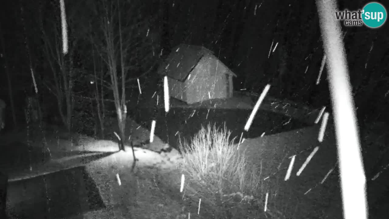 Webcam Lukanja – Water Village | Pohorje Houses