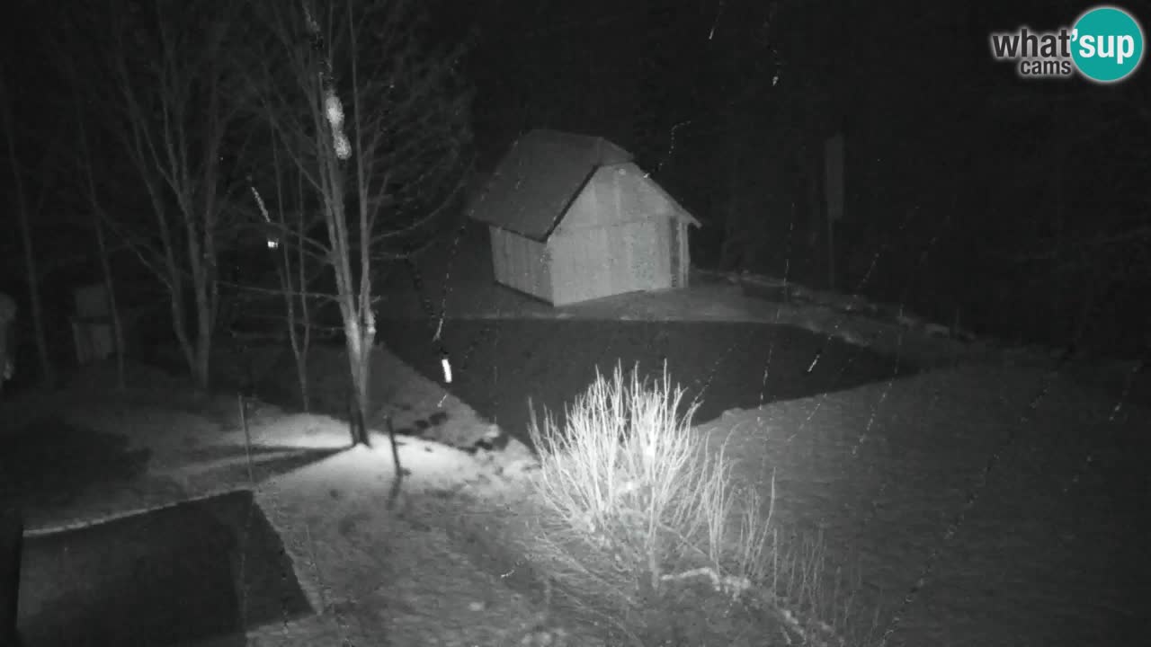 Webcam Lukanja – Pohorje houses a Water village