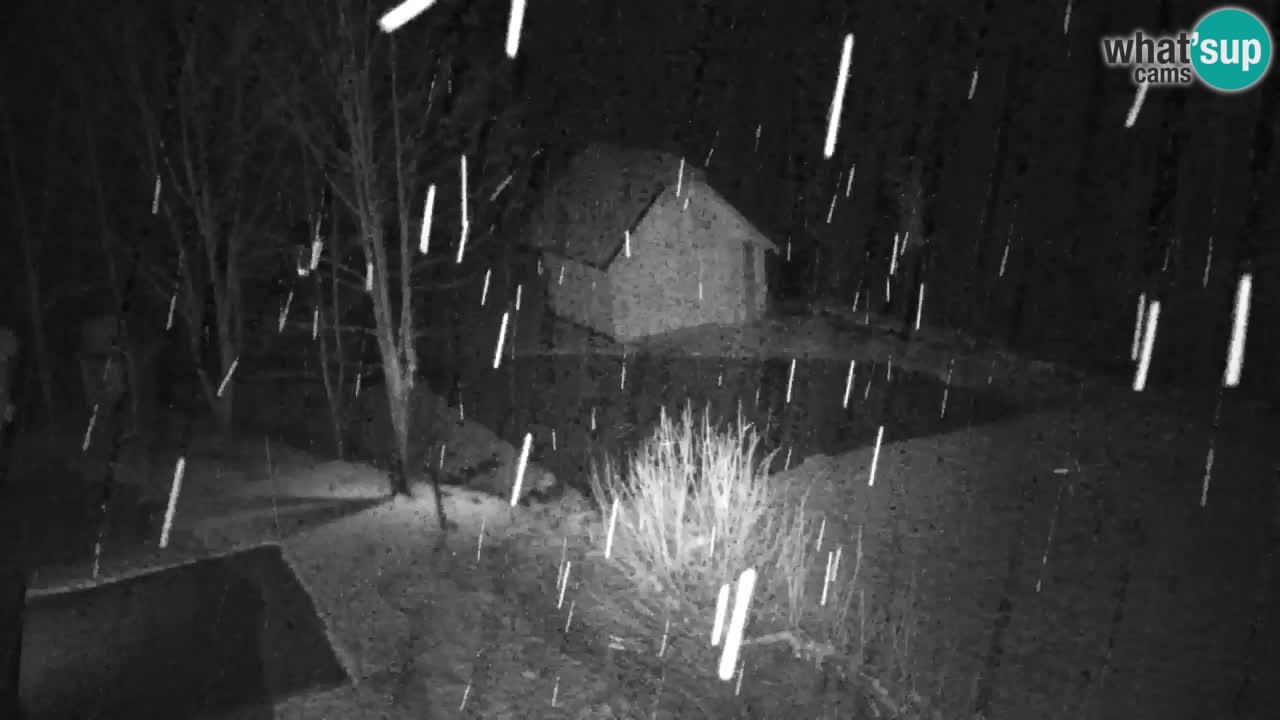 Webcam Lukanja – Pohorje houses a Water village