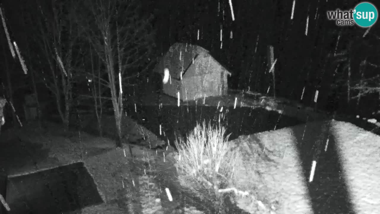 Webcam Lukanja – Water Village | Pohorje Houses