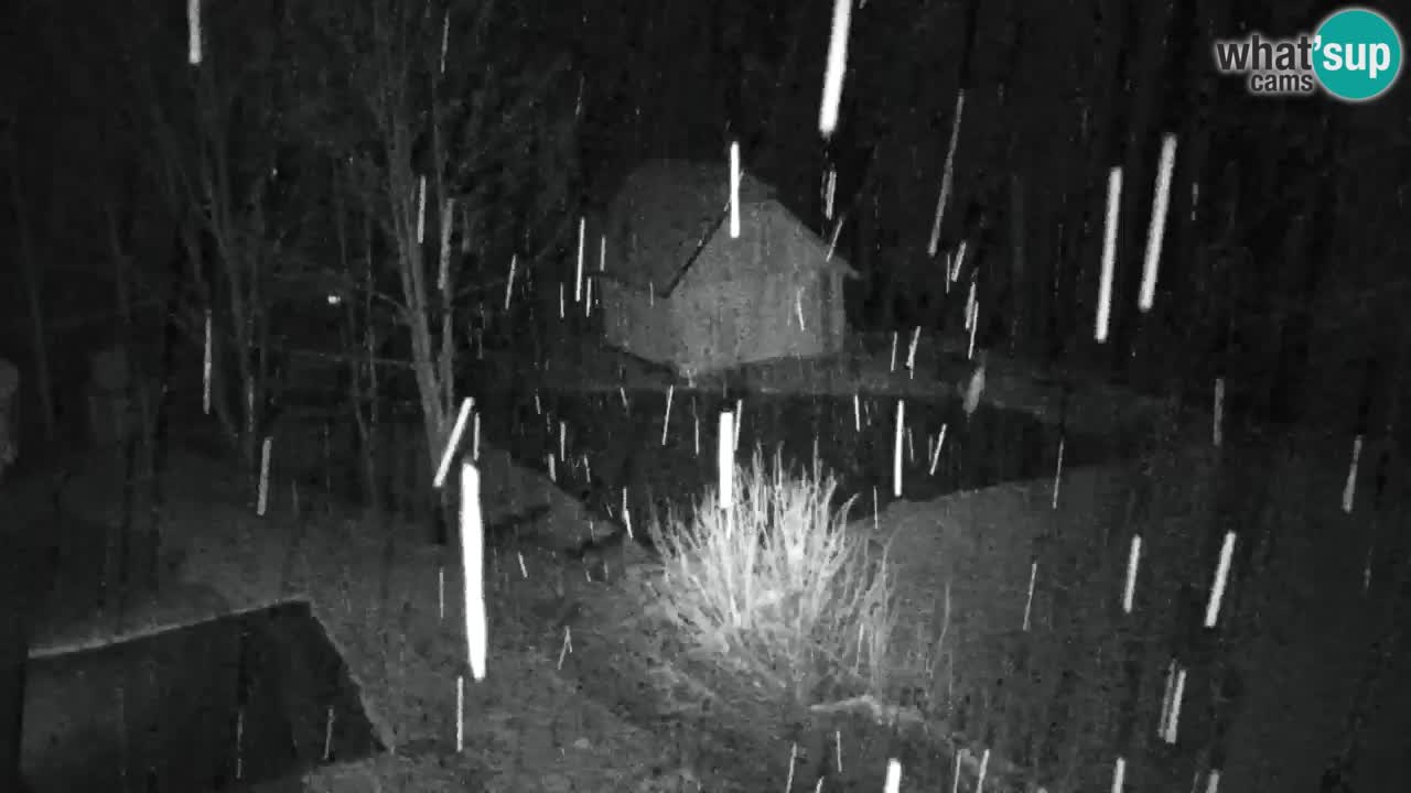 Webcam Lukanja – Water Village | Pohorje Houses