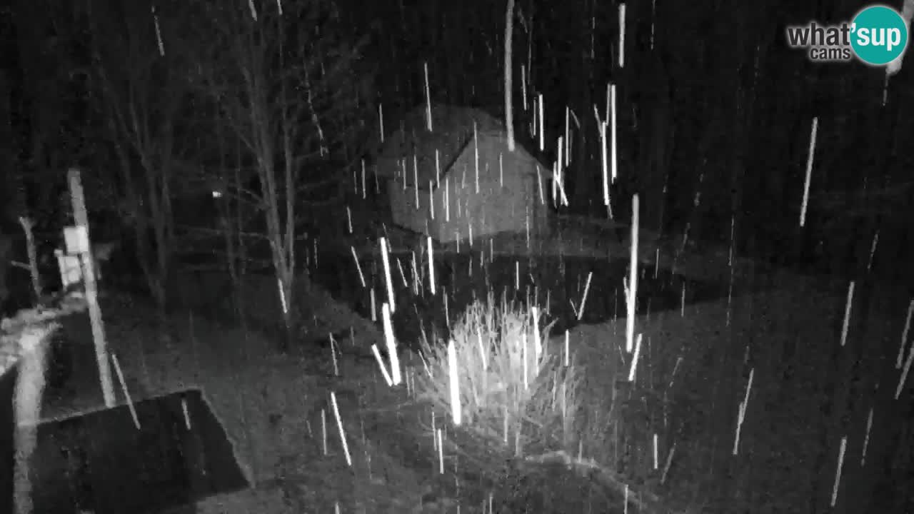 Webcam Lukanja – Water Village | Pohorje Houses