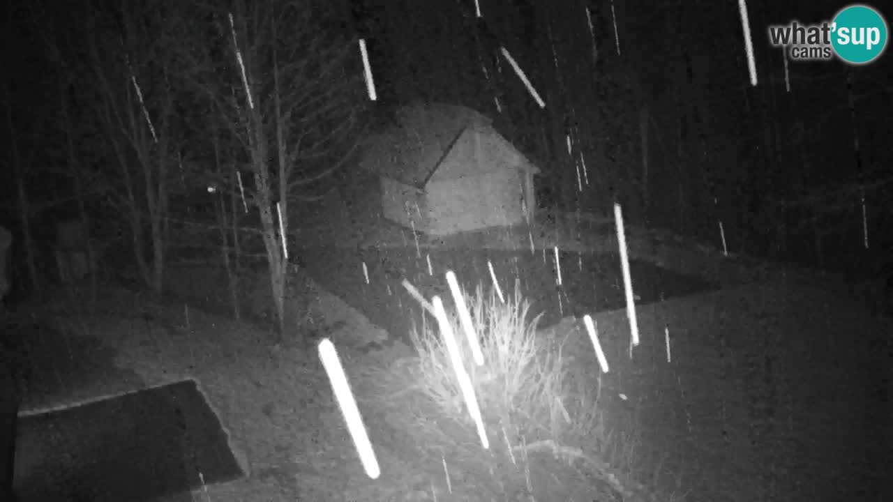 Spletna kamera Lukanja – Water Village | Pohorje Houses