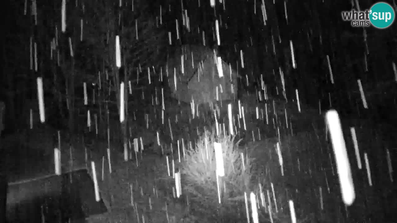 Webcam Lukanja – Pohorje houses a Water village