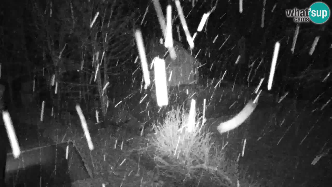 Webcam Lukanja – Water Village | Pohorje Houses