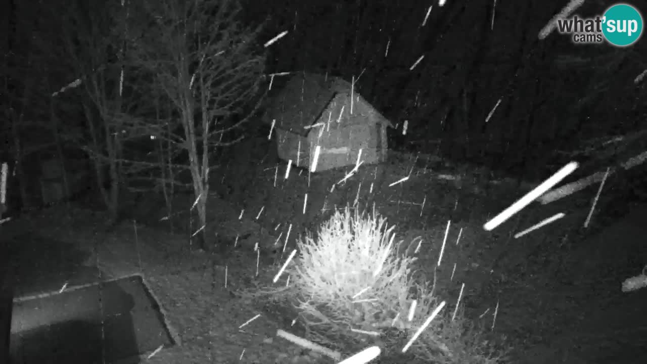 Webcam Lukanja – Water Village | Pohorje Houses