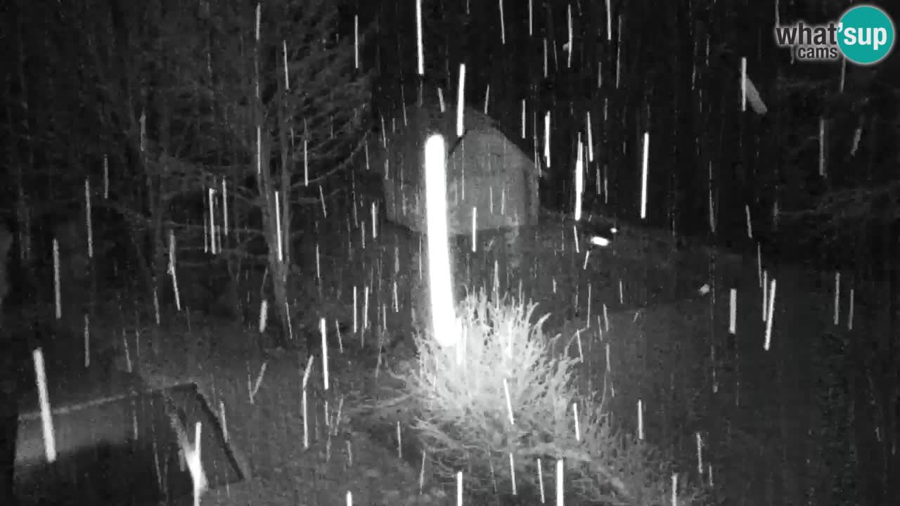 Webcam Lukanja – Pohorje houses a Water village