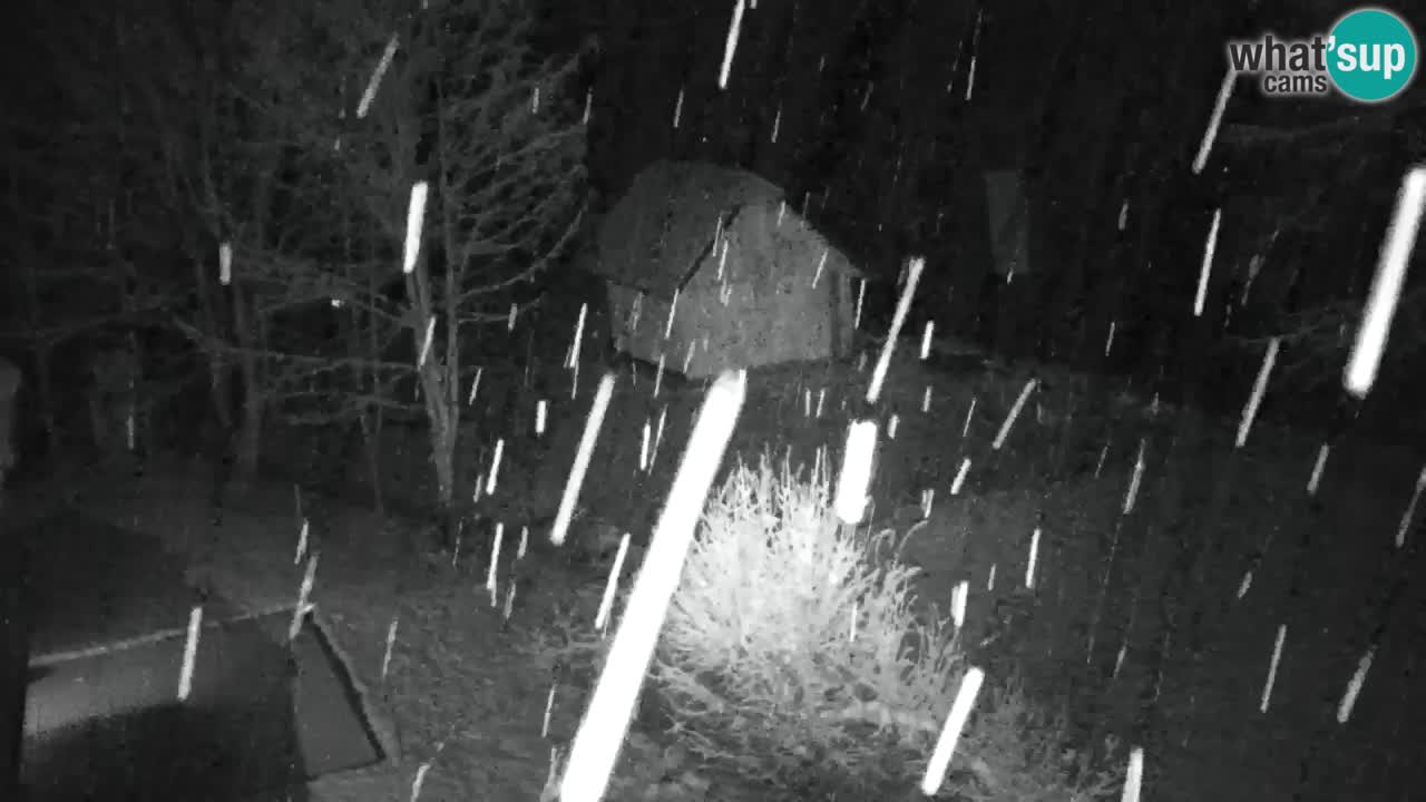 Webcam Lukanja – Water Village | Pohorje Houses