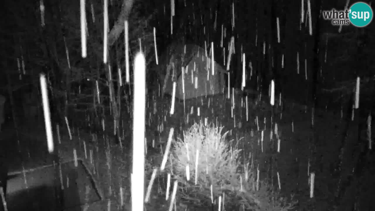 Webcam Lukanja – Water Village | Pohorje Houses