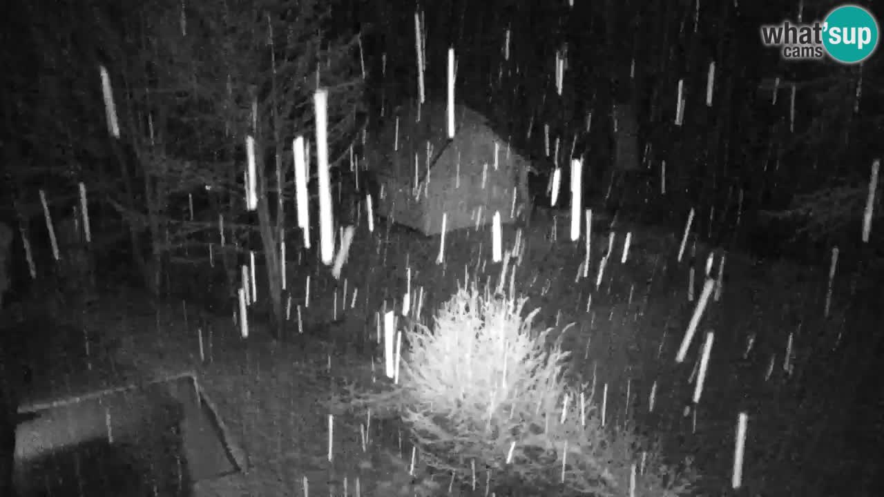 Webcam Lukanja – Pohorje houses a Water village