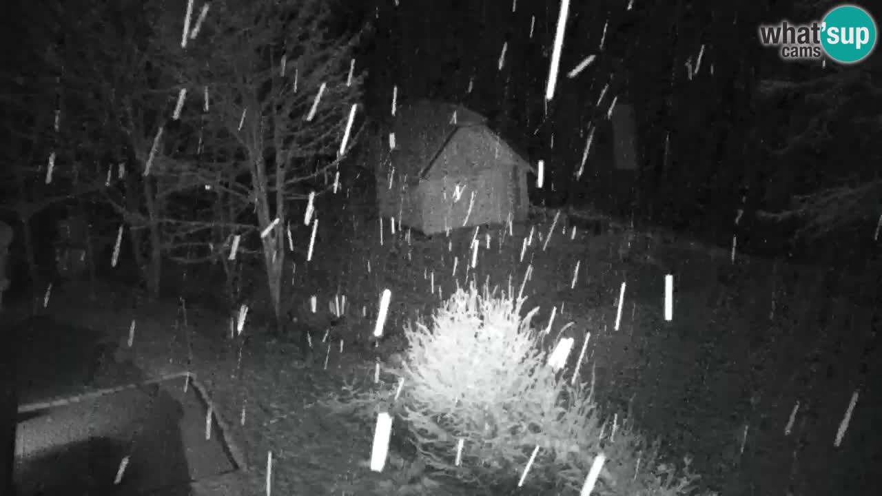 Webcam Lukanja – Water Village | Pohorje Houses