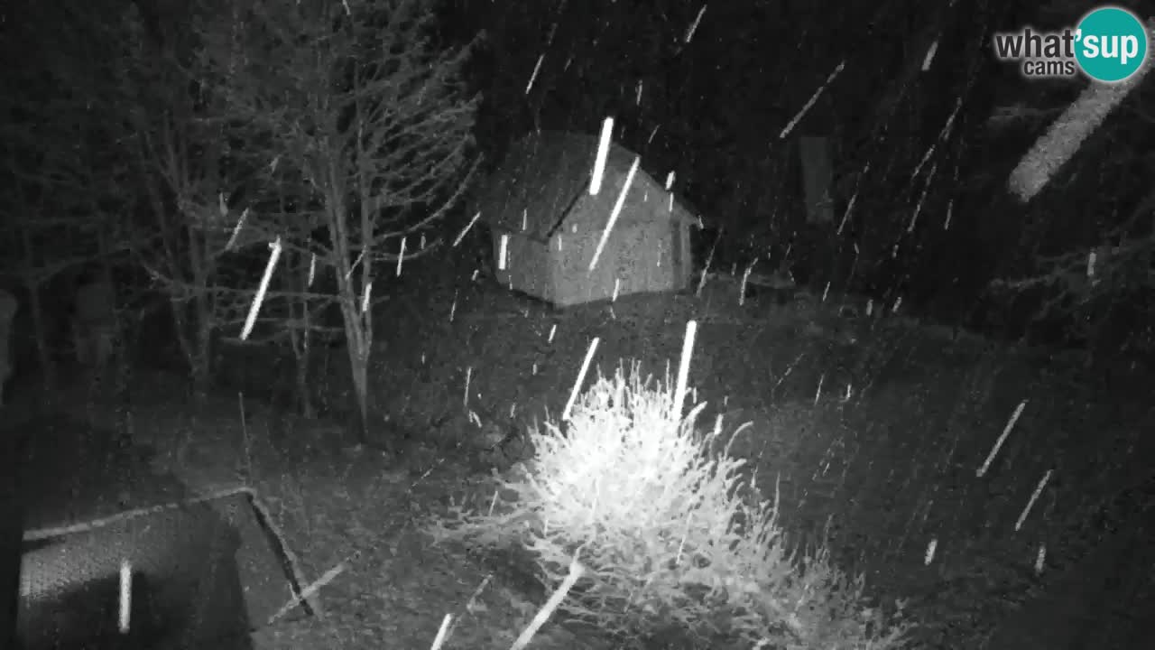 Webcam Lukanja – Pohorje houses a Water village