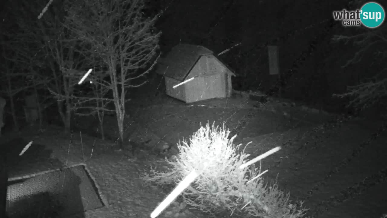 Webcam Lukanja – Water Village | Pohorje Houses