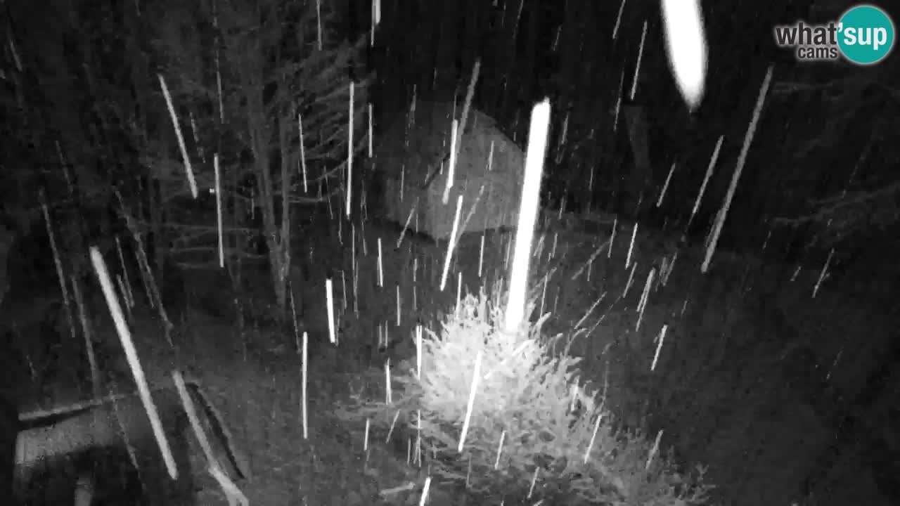 Webcam Lukanja – Pohorje houses a Water village