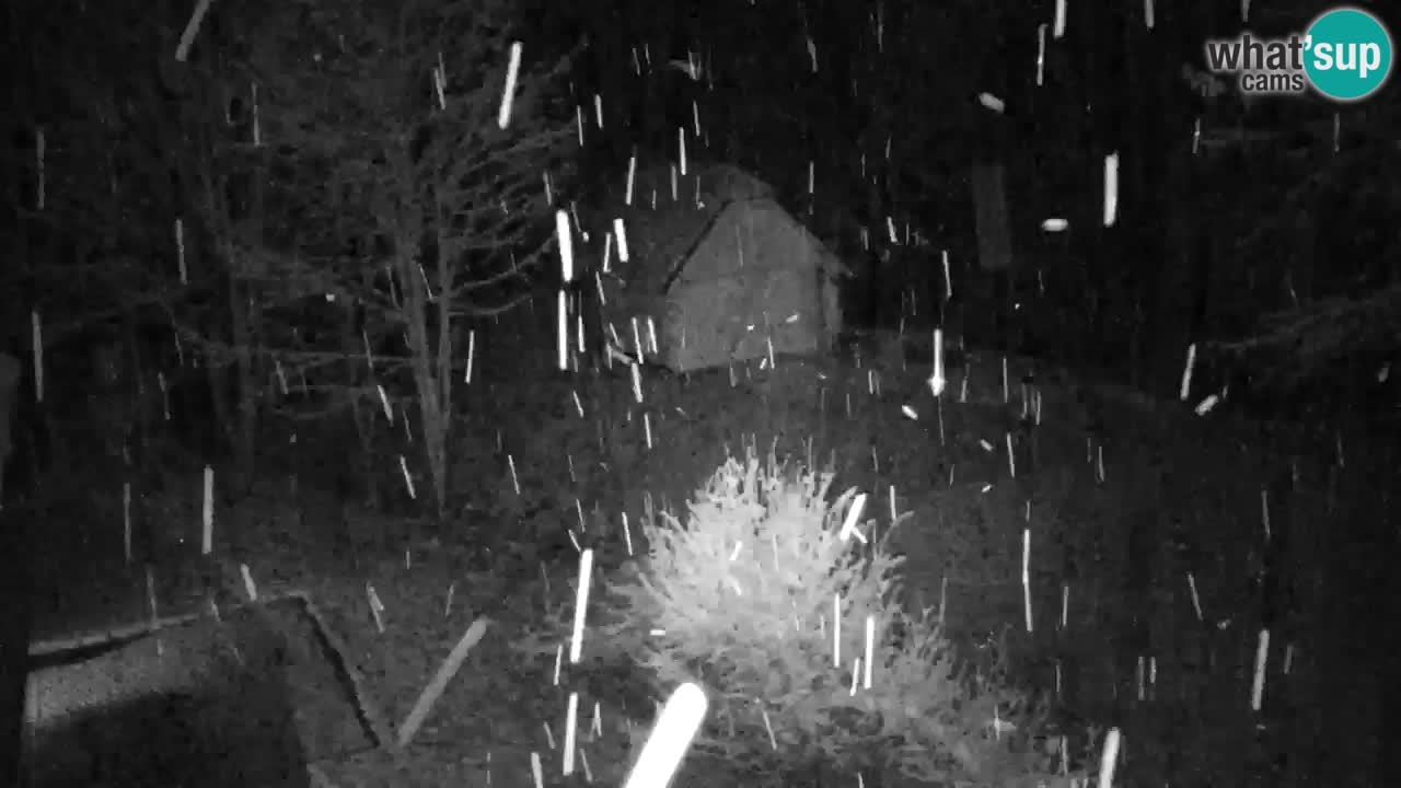 Webcam Lukanja – Pohorje houses a Water village