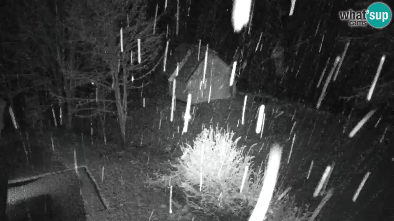 Webcam Lukanja – Pohorje houses a Water village