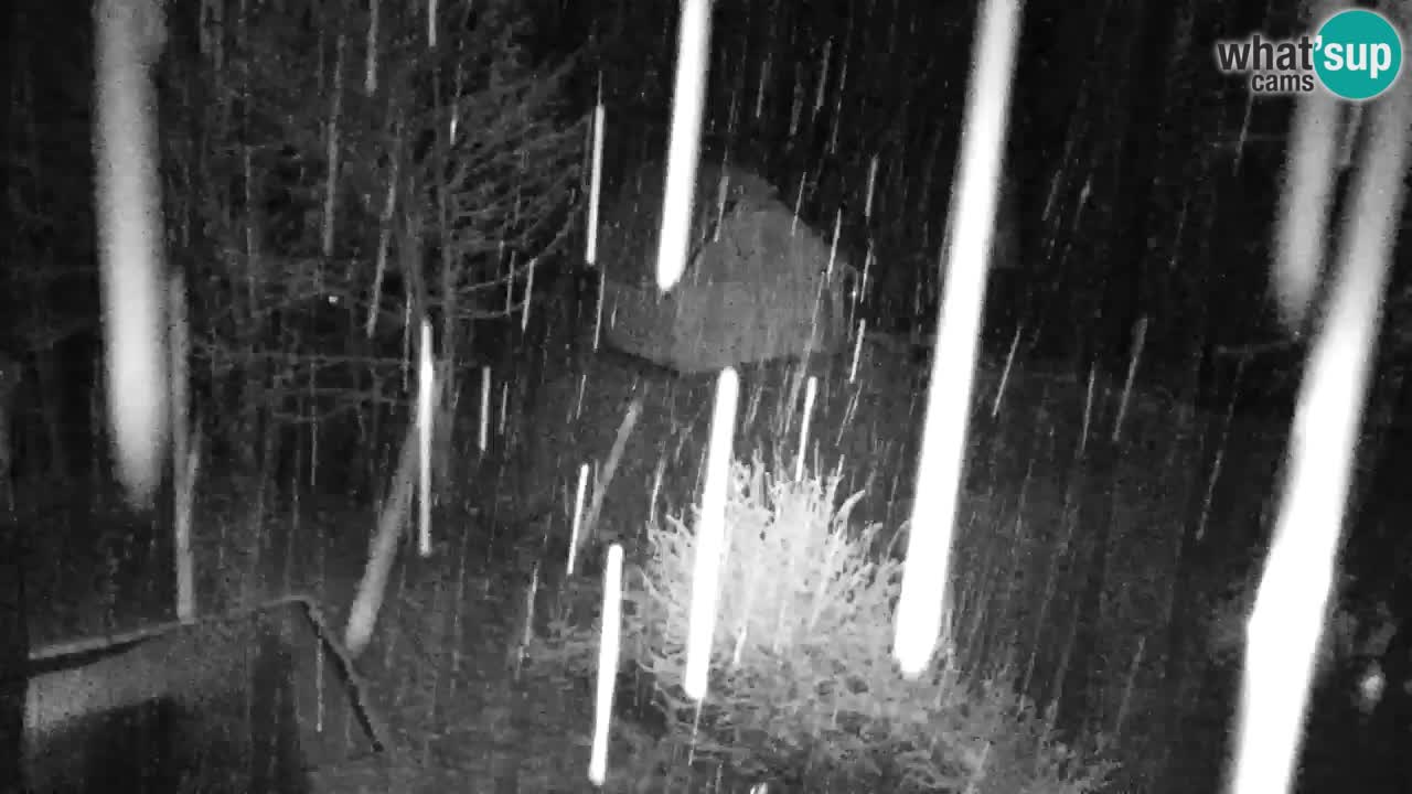 Webcam Lukanja – Pohorje houses a Water village