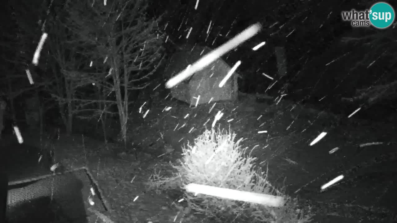 Webcam Lukanja – Water Village | Pohorje Houses