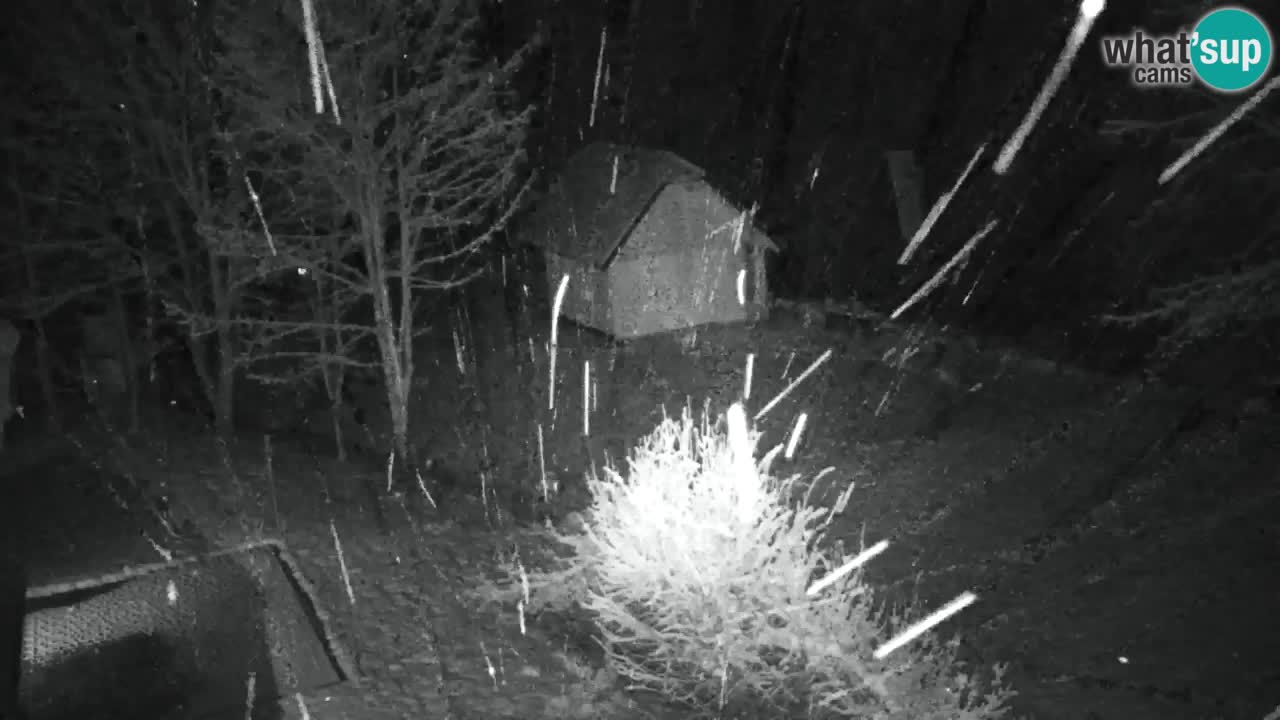 Webcam Lukanja – Pohorje houses a Water village