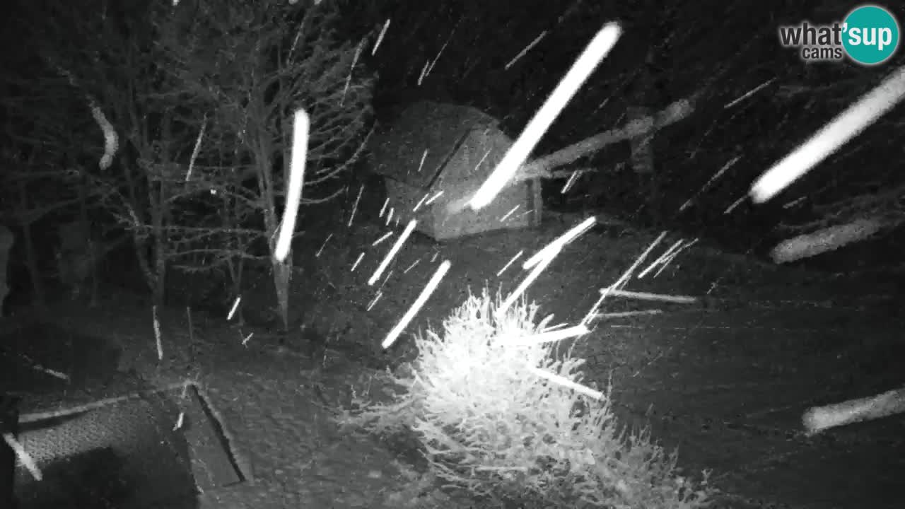 Webcam Lukanja – Pohorje houses a Water village