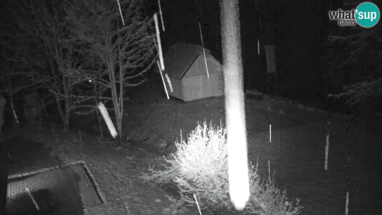 Webcam Lukanja – Water Village | Pohorje Houses