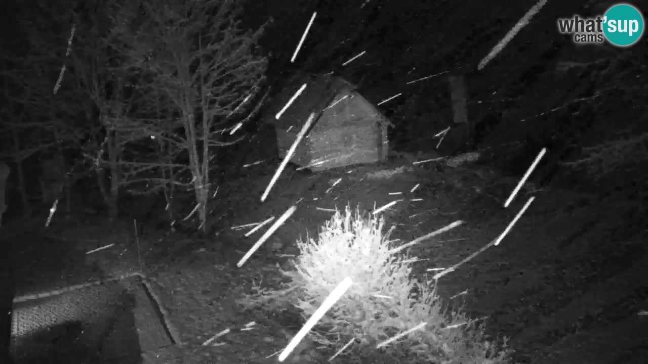 Webcam Lukanja – Pohorje houses a Water village