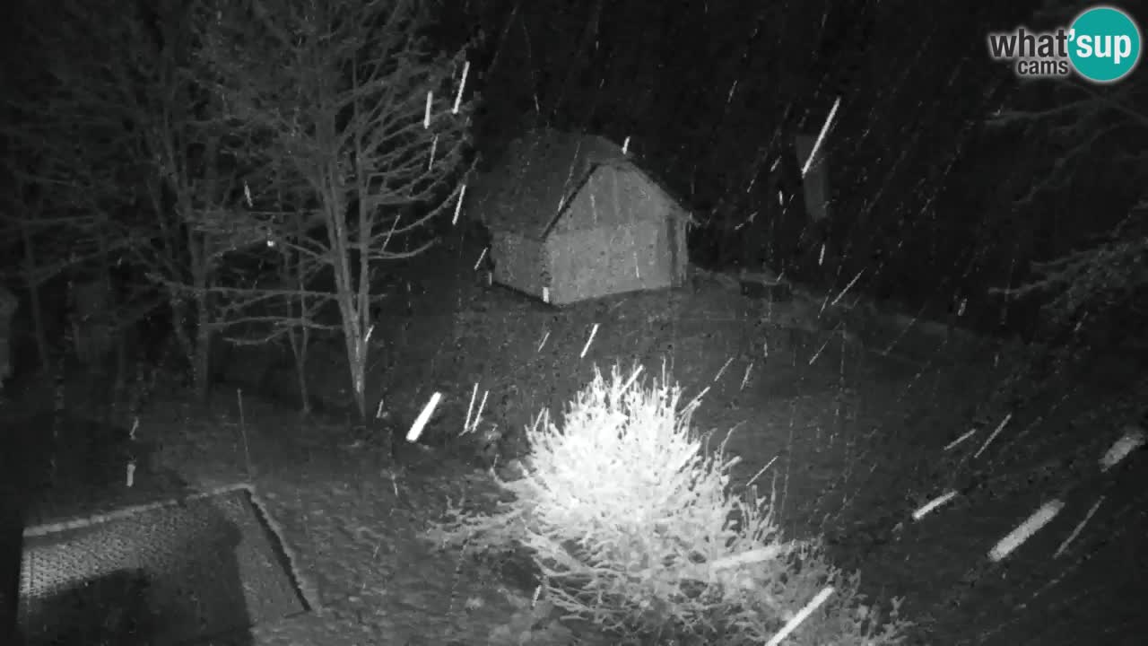 Spletna kamera Lukanja – Water Village | Pohorje Houses