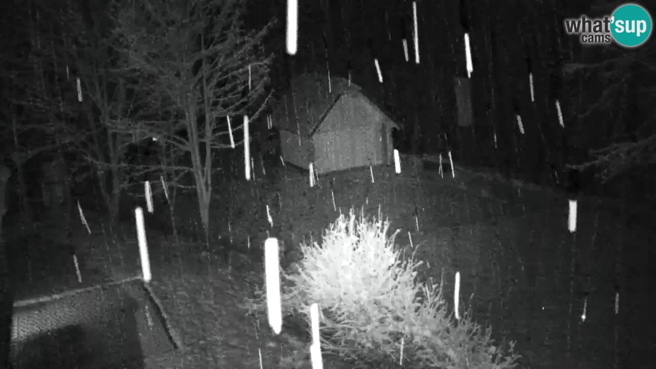 Webcam Lukanja – Pohorje houses a Water village