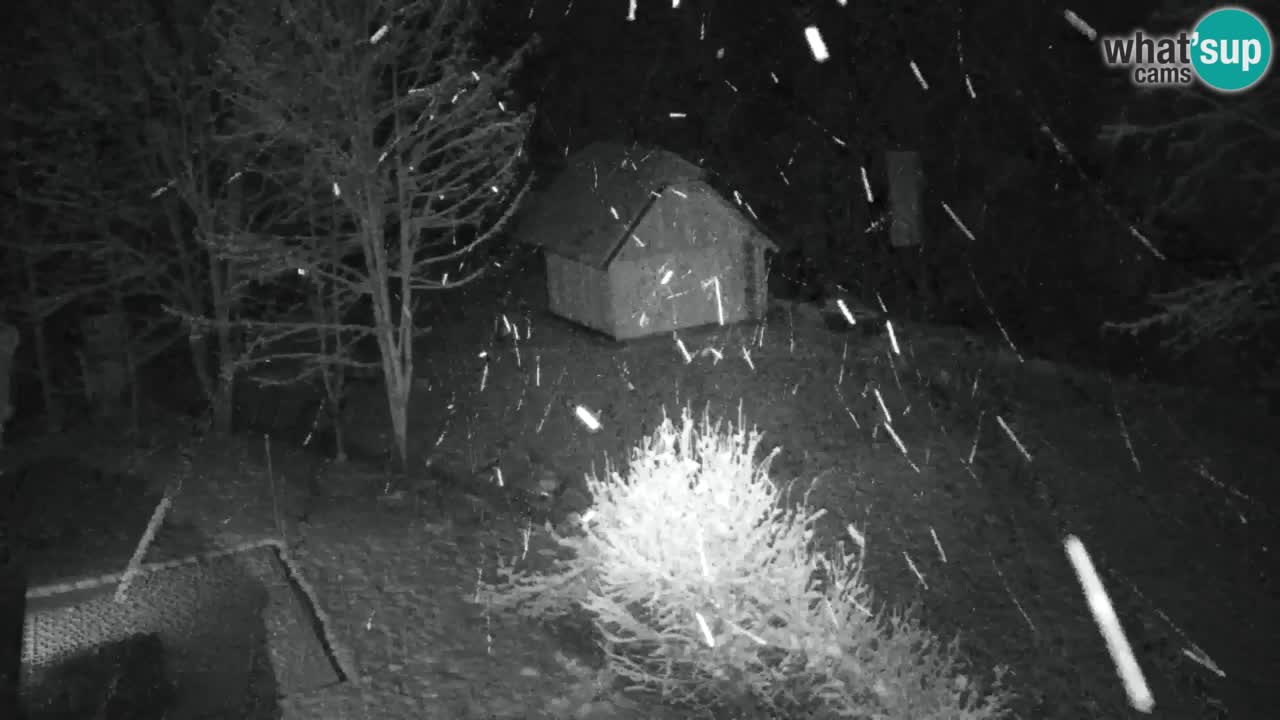 Webcam Lukanja – Water Village | Pohorje Houses