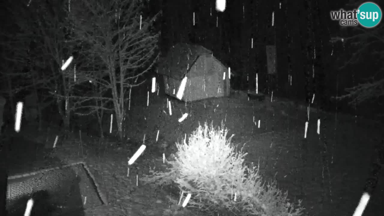 Webcam Lukanja – Water Village | Pohorje Houses