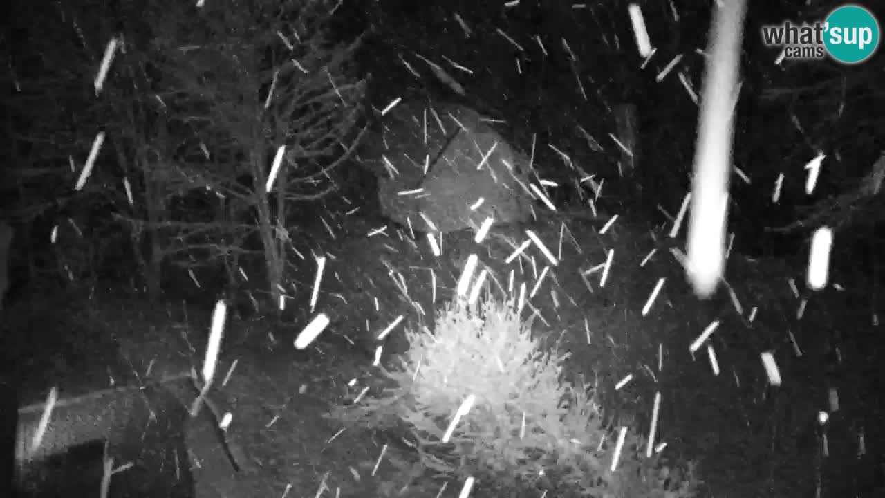 Webcam Lukanja – Water Village | Pohorje Houses