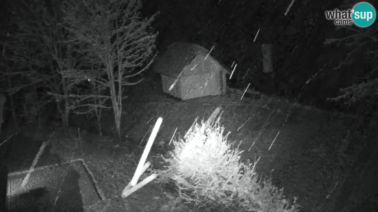 Web kamera Lukanja – Water Village | Pohorje Houses