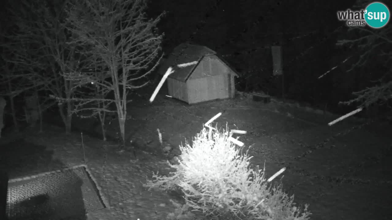 Webcam Lukanja – Pohorje houses a Water village