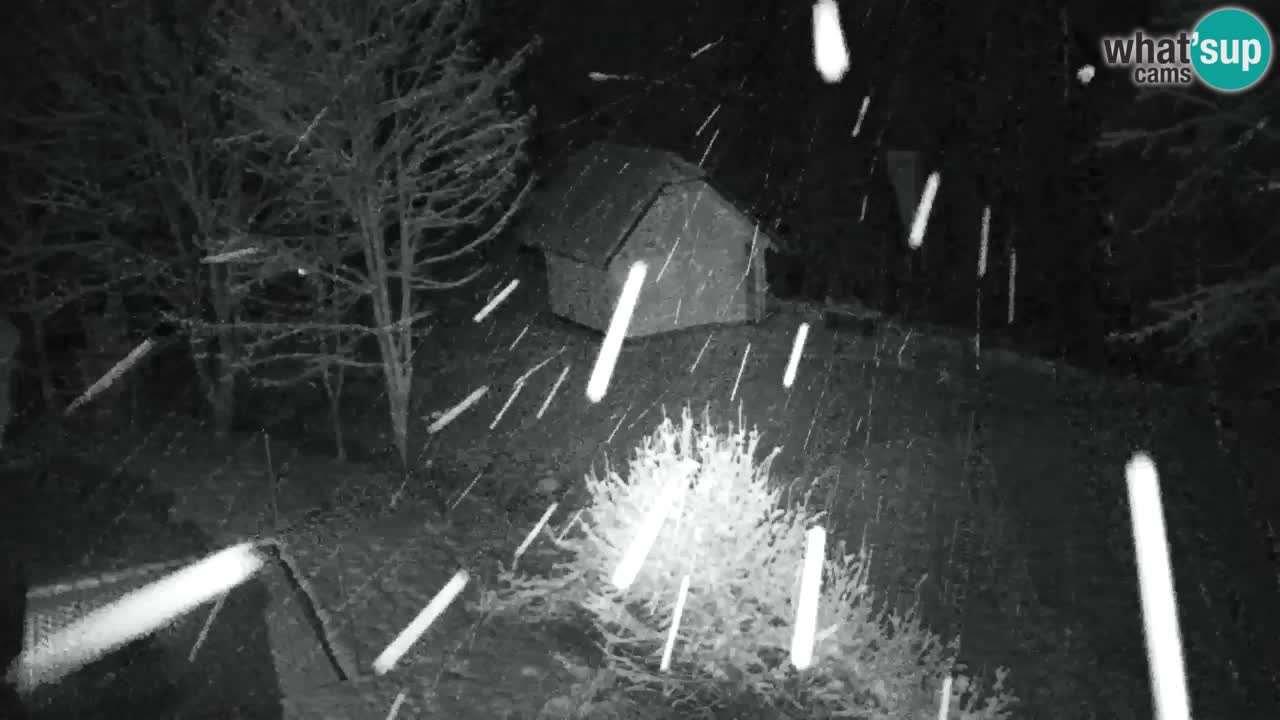 Web kamera Lukanja – Water Village | Pohorje Houses