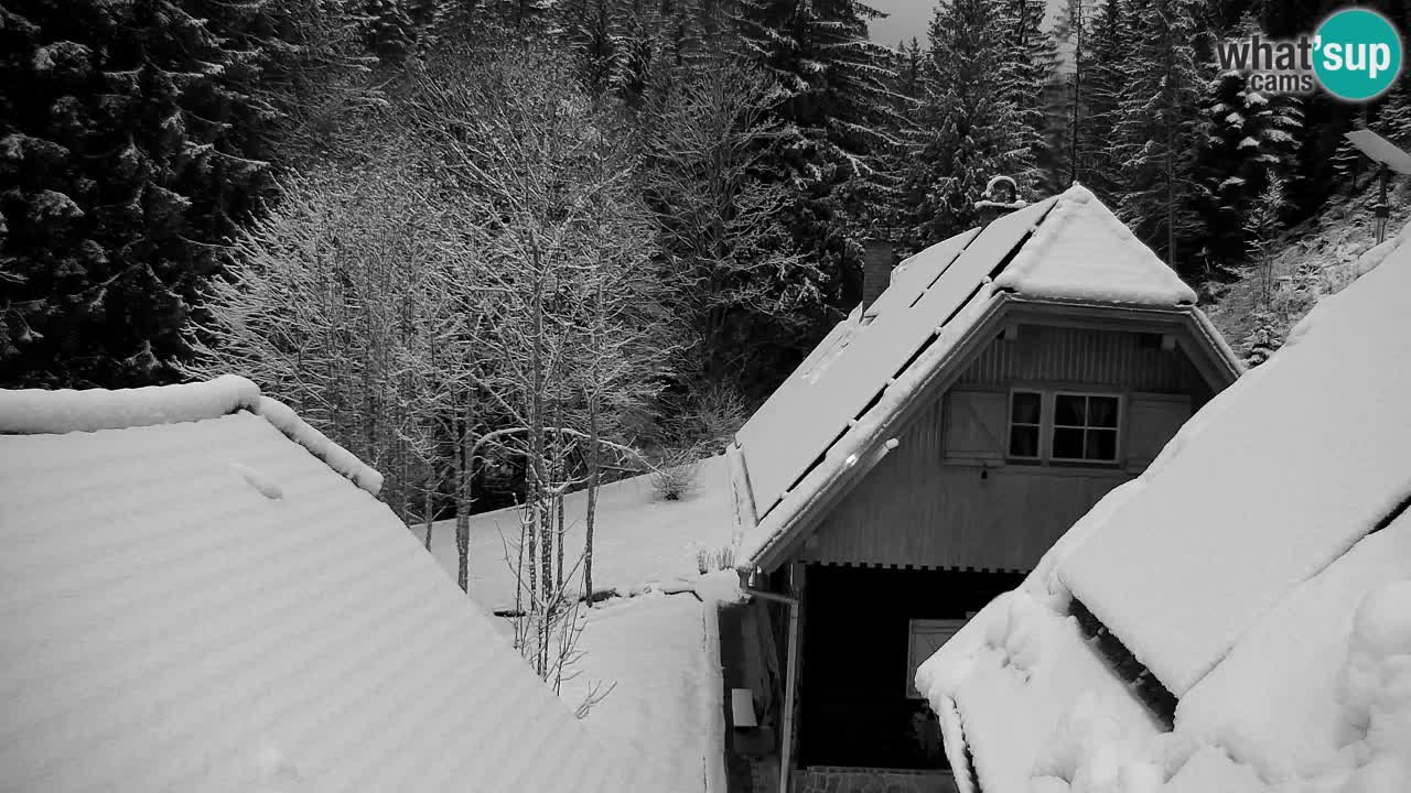 Webcam Lukanja – Pohorje houses a Water village