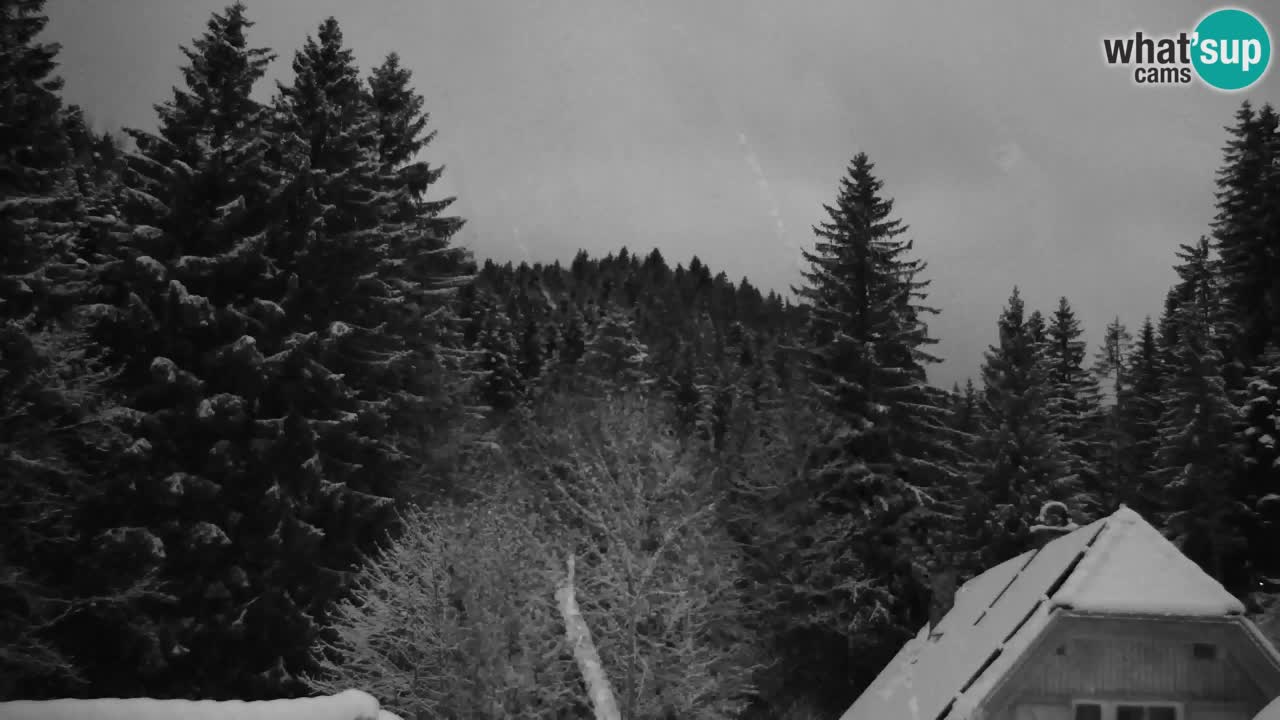 Webcam Lukanja – Pohorje houses a Water village