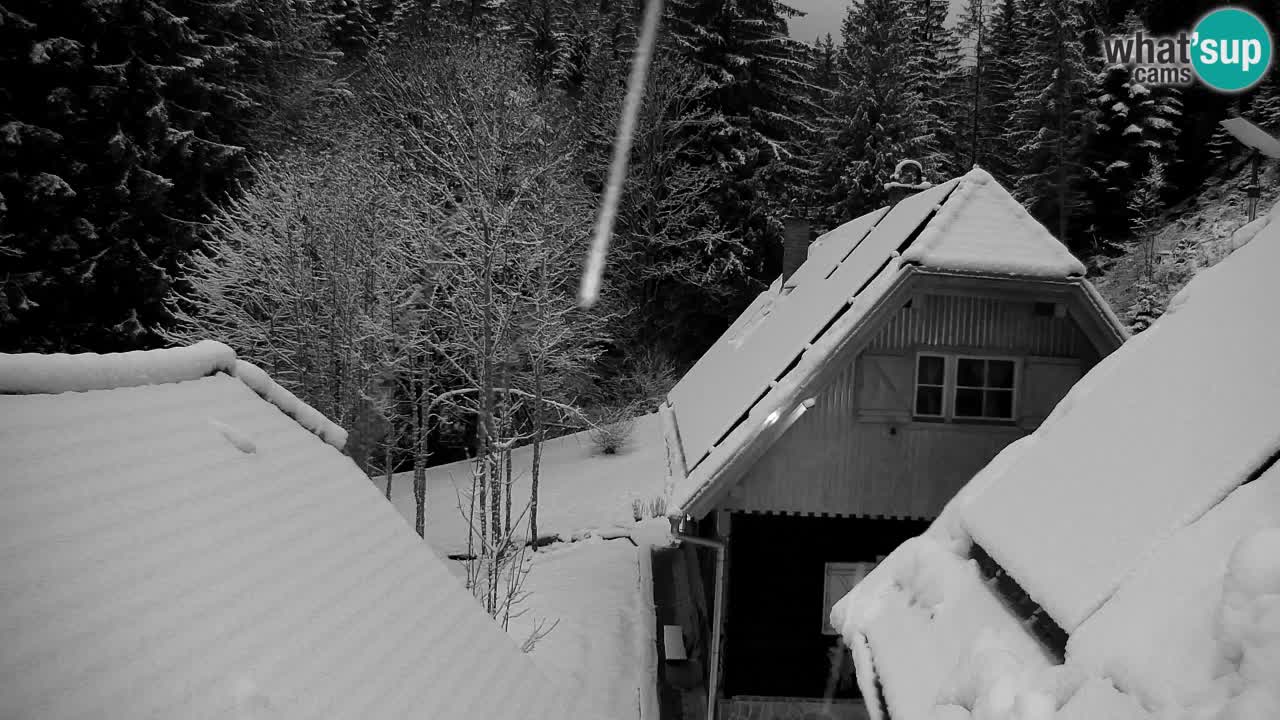 Web kamera Lukanja – Water Village | Pohorje Houses