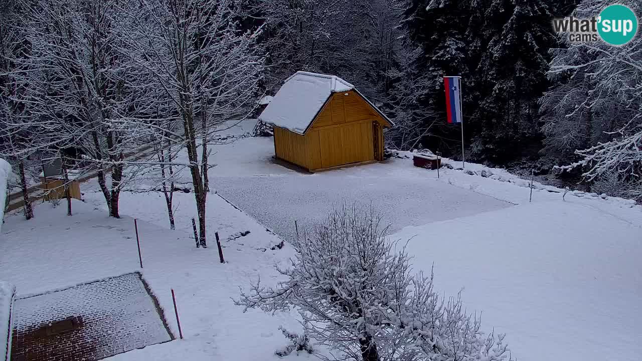 Web kamera Lukanja – Water Village | Pohorje Houses