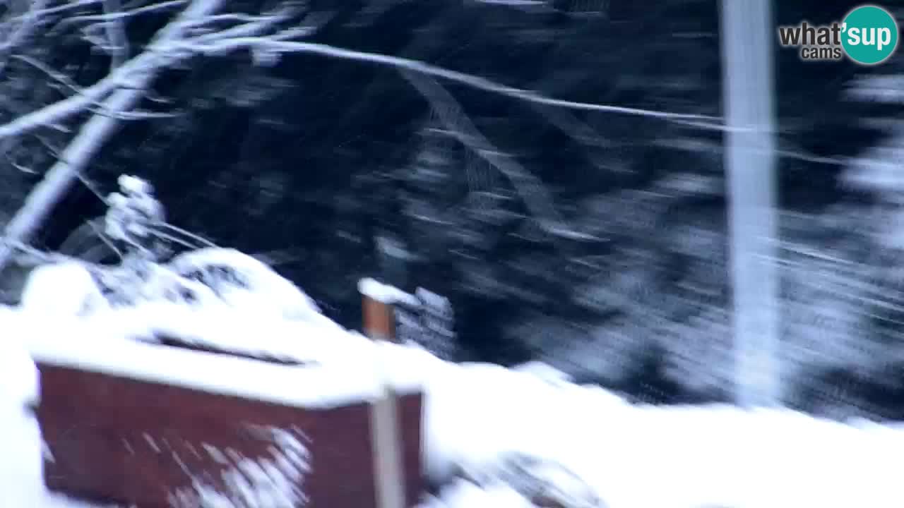 Webcam Lukanja – Pohorje houses a Water village