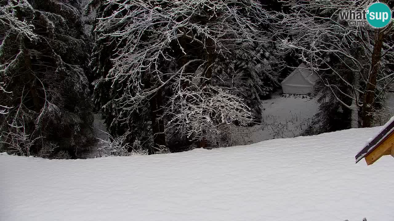 Webcam Lukanja – Water Village | Pohorje Houses