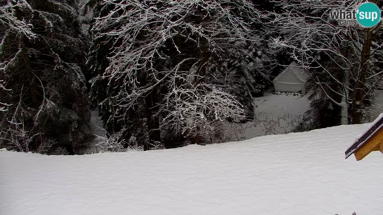 Webcam Lukanja – Pohorje houses a Water village