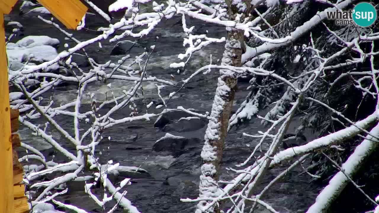 Webcam Lukanja – Pohorje houses a Water village